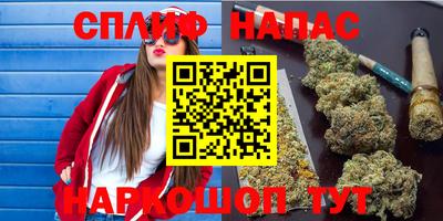 индика Канаш