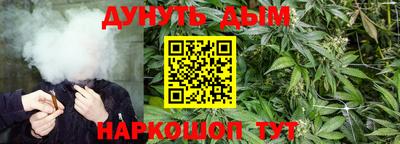 индика Канаш